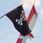 One Piece: Mimpi Kebebasan dan Kemerdekaan