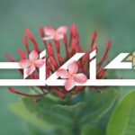 Dari 2.434 Abstrak, 5 Dosen UIN Bandung Melaju ke Panggung AICIS+ 2025